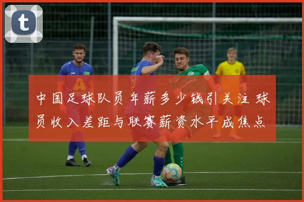 中国足球队员年薪多少钱引关注 球员收入差距与联赛薪资水平成焦点